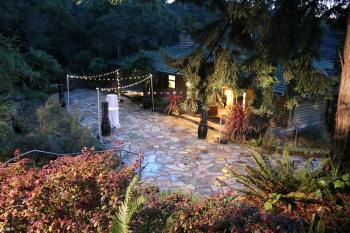 Market Lights - Temescal Patio